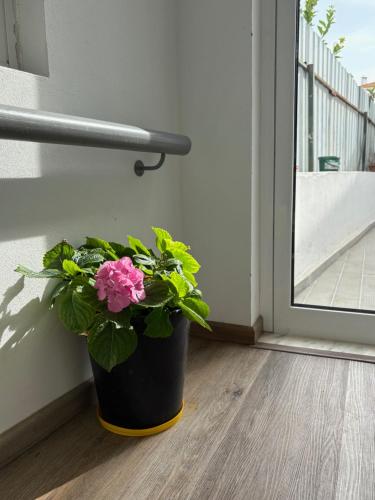 Alojamento Local - Covas