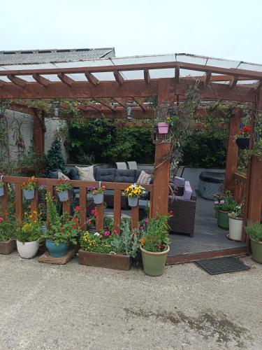 Midtown Farm Bed & Breakfast