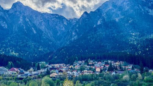 Busteni Mountain View Suites by the River - EV Plug