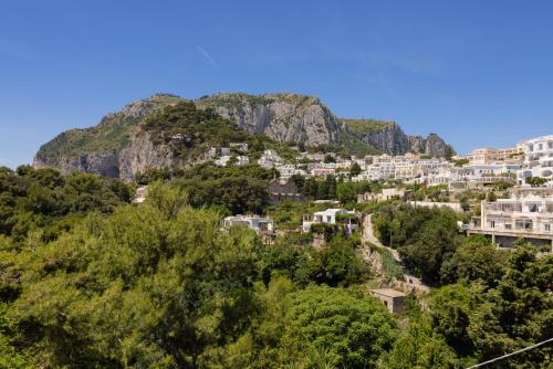 Oliveto Capri Apartments