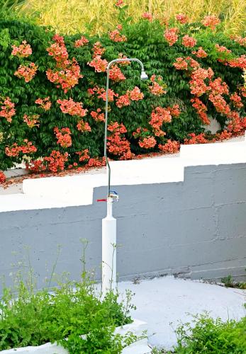 Karmik Concept Pension