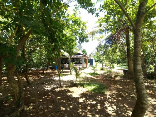 Luxurious loft house