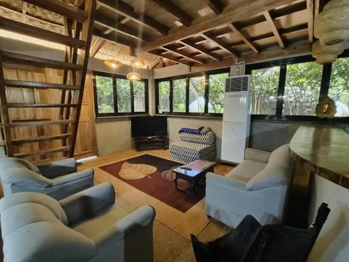 Luxurious loft house