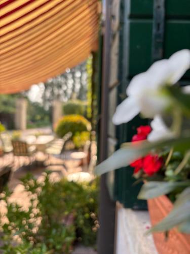 B&B Villa Gradenigo