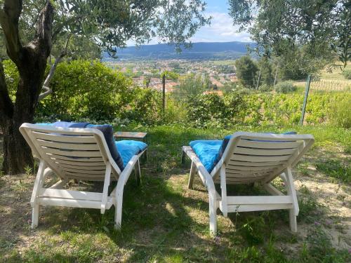 Guest House Du Moulin