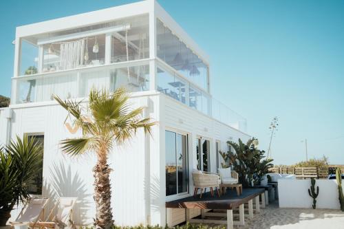 We Surf House