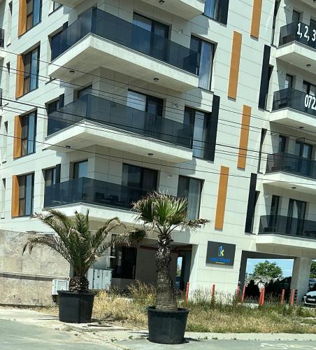 Koya Tower by Lake Mamaia