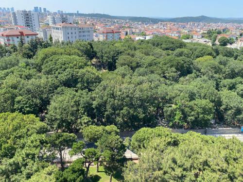 Zin D Home Dudullu Suits