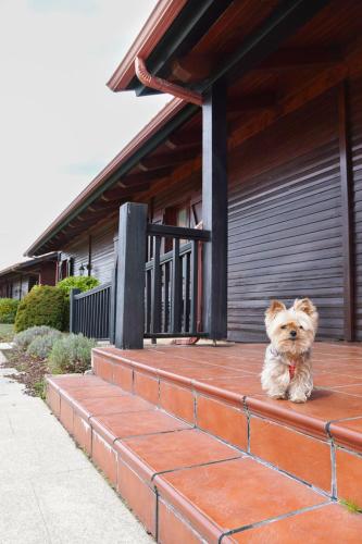 La Cabaña