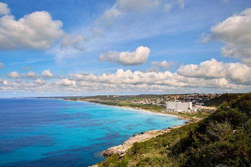 Sol Milanos Pingüinos