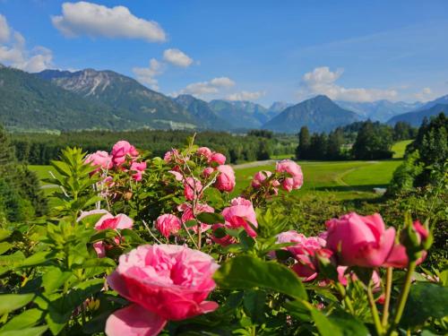 Berghof Mehlan Ferienwohnungen