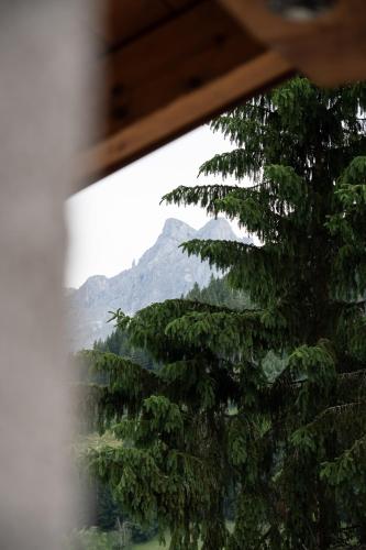 Gasthof Pension Schontal