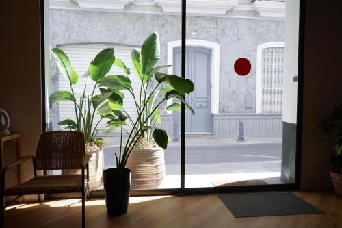 Sweet Sevilla Hostel