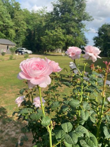 Golf De Fleuray Amboise