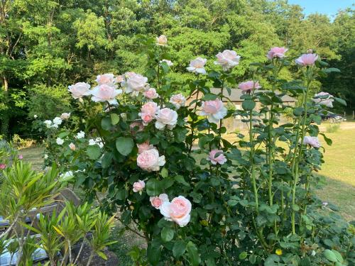 Golf De Fleuray Amboise