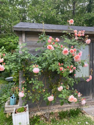 Golf De Fleuray Amboise