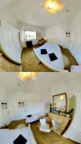 Calm, green & birdsong near the city center