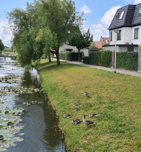 LandLust Guest House B&B Amsterdam Area