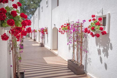 Mera Resort - Hotel Mera Sky