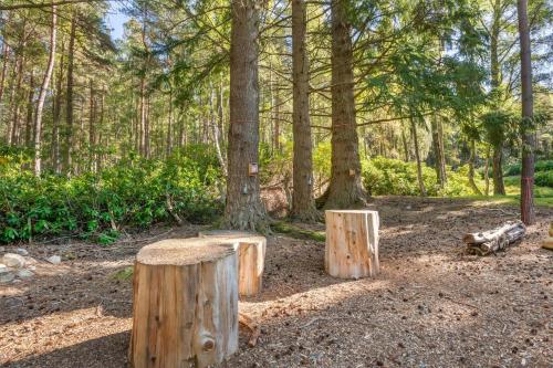 Hilton Grand Vacations Club at Craigendarroch Suites