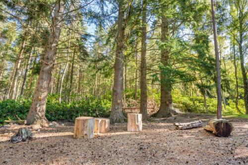 Hilton Grand Vacations Club at Craigendarroch Suites