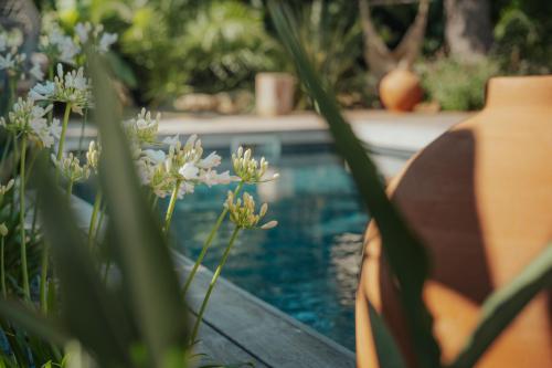 L'oasis Vendargues