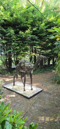 Chambres d'hôtes - Le Nador