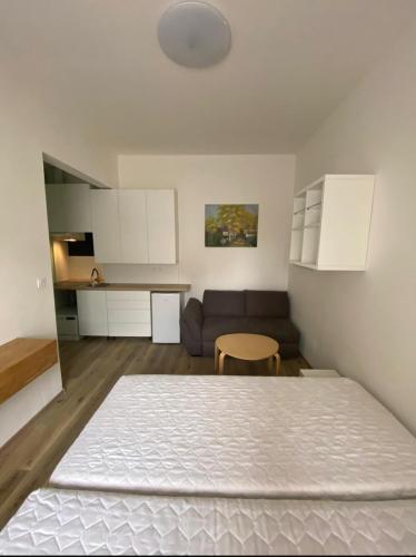 Red&Black Apartment City centr, Na Hradbách 118