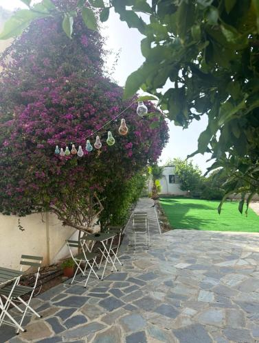 Hostl - Beds & Rooms - The Hostel Inn Paphos, Old Town