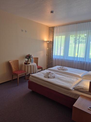 Panorama Hotel Oberwiesenthal