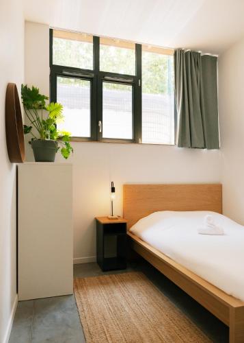 Yasi Hostel