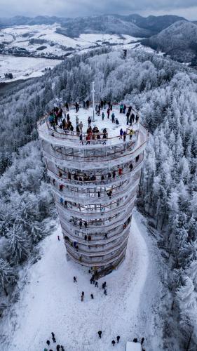 Apartamenty Pod Dzikowcem