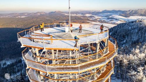 Apartamenty Pod Dzikowcem