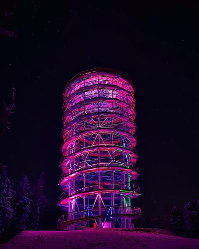 Apartamenty Pod Dzikowcem