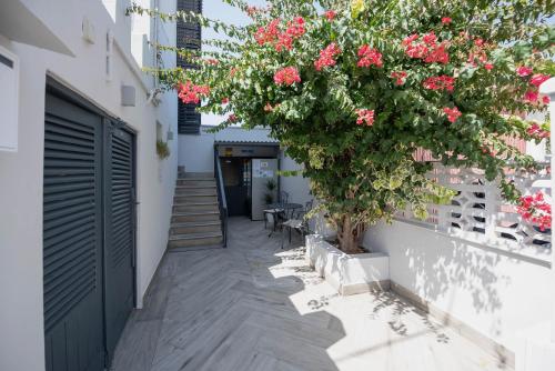 Hostal Costa Ibiza