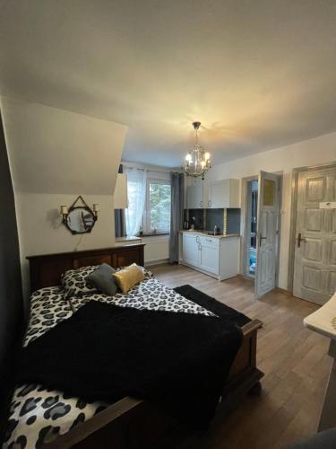 Pokoje Goscinne I Apartament U Staszelów