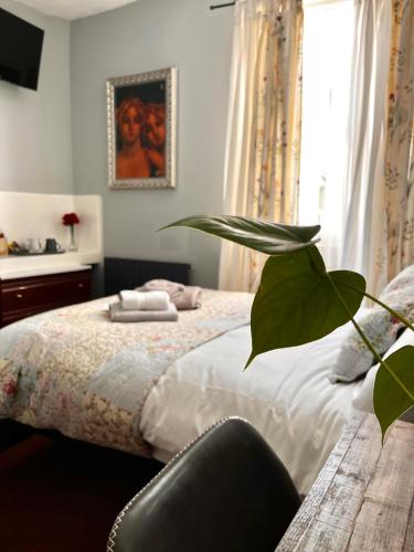 The Istanbul Ev Guest House