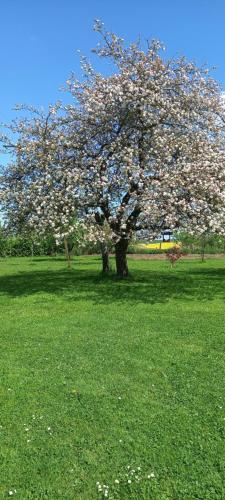 Aux Trois Petites Notes