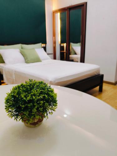 CEDAR PEAK by AWESOME STAY in Baguio