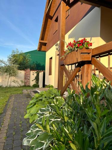 Pokoje i domki Saracenska Chata