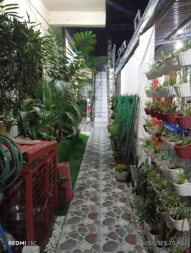 Parayno's Residence in Marikina 2