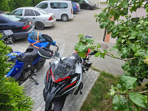 Little Amber Guest House