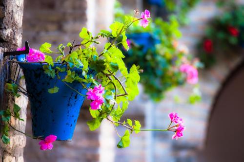 Villa Conmigo bed & breakfast