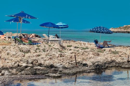 Little Bay Apartments