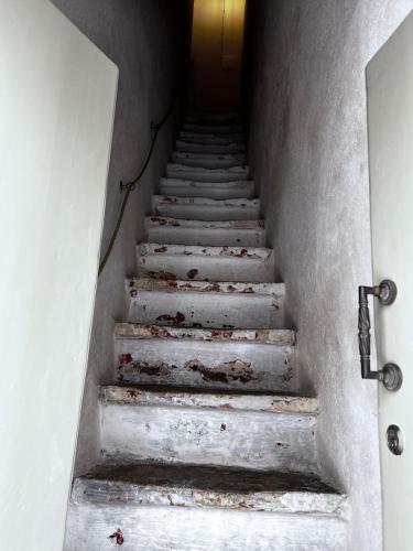 Caterina's Suites & Apartament