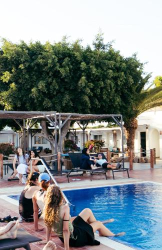 The Tree House Hostel