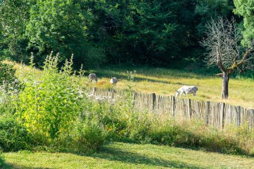 La Santon Maison d'Hôte et Gîte