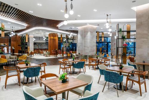 Calyptus Kirman Premium