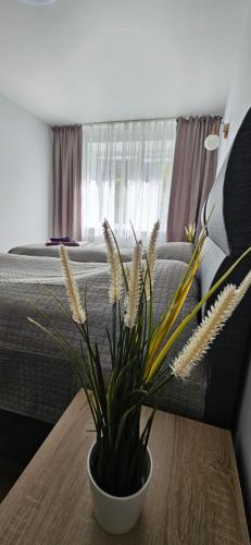 CITY STAY 2-bedroom apartment