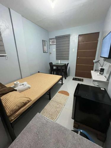 RJ Studio transient in Napico